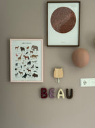 B  Ceramic Initial